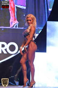SN PRO EXPO - 2017
