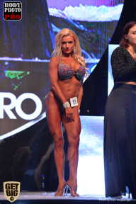 SN PRO EXPO - 2017