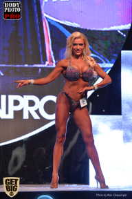 SN PRO EXPO - 2017