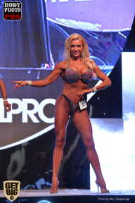 SN PRO EXPO - 2017