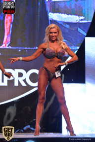SN PRO EXPO - 2017