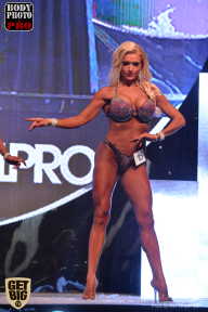 SN PRO EXPO - 2017