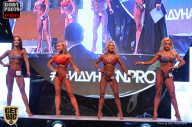 SN PRO EXPO - 2017