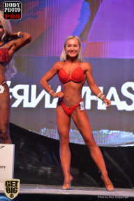 SN PRO EXPO - 2017