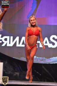 SN PRO EXPO - 2017