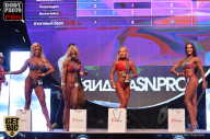 SN PRO EXPO - 2017