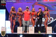 SN PRO EXPO - 2017