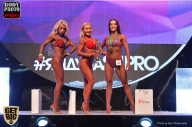 SN PRO EXPO - 2017