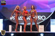SN PRO EXPO - 2017