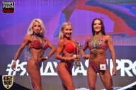 SN PRO EXPO - 2017