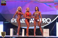 SN PRO EXPO - 2017