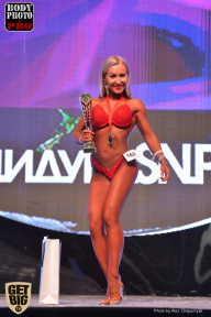 SN PRO EXPO - 2017