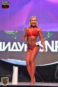 SN PRO EXPO - 2017