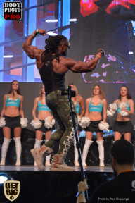 SN PRO EXPO - 2017