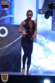 SN PRO EXPO - 2017
