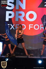SN PRO EXPO - 2017