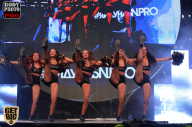 SN PRO EXPO - 2017
