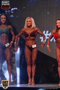 SN PRO EXPO - 2017
