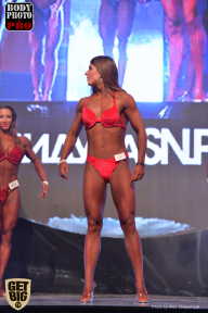 SN PRO EXPO - 2017