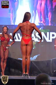 SN PRO EXPO - 2017