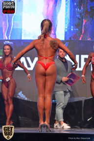SN PRO EXPO - 2017