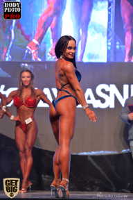SN PRO EXPO - 2017