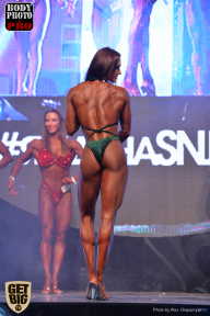 SN PRO EXPO - 2017