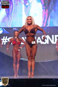 SN PRO EXPO - 2017