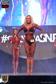 SN PRO EXPO - 2017