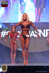 SN PRO EXPO - 2017
