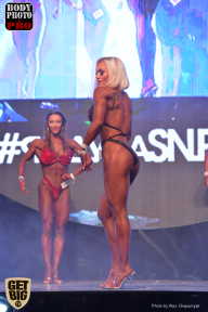 SN PRO EXPO - 2017