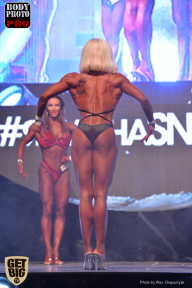 SN PRO EXPO - 2017
