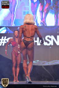 SN PRO EXPO - 2017