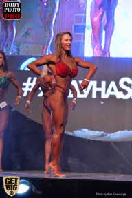 SN PRO EXPO - 2017