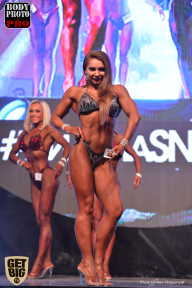 SN PRO EXPO - 2017