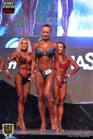 SN PRO EXPO - 2017