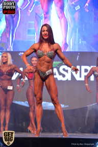 SN PRO EXPO - 2017