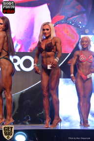 SN PRO EXPO - 2017
