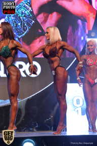 SN PRO EXPO - 2017
