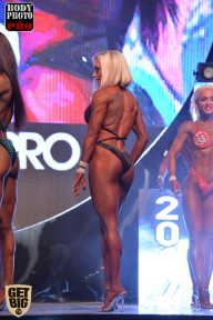 SN PRO EXPO - 2017