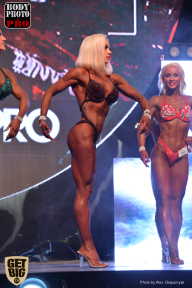 SN PRO EXPO - 2017