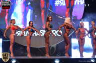 SN PRO EXPO - 2017
