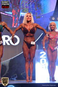 SN PRO EXPO - 2017