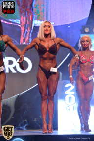 SN PRO EXPO - 2017