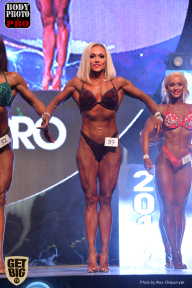 SN PRO EXPO - 2017