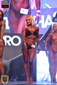 SN PRO EXPO - 2017