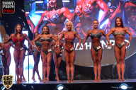 SN PRO EXPO - 2017