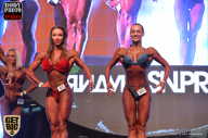 SN PRO EXPO - 2017