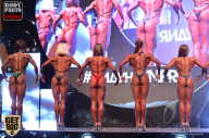 SN PRO EXPO - 2017