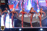 SN PRO EXPO - 2017